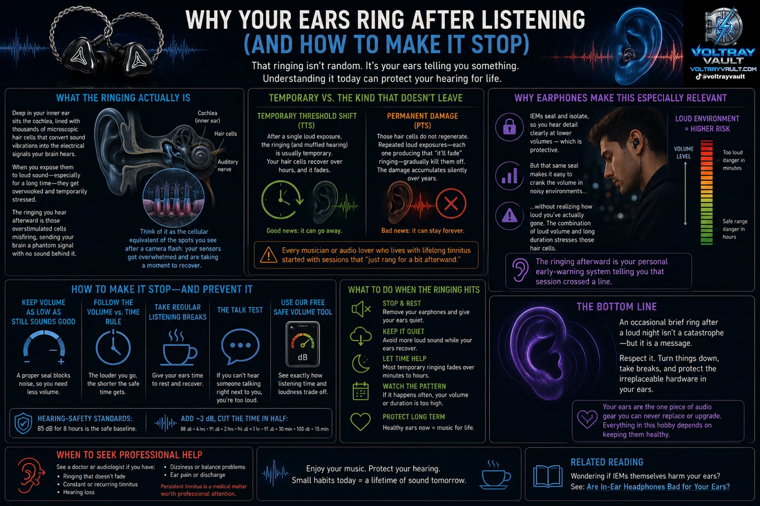 An informational diagram about Why Your Ears Ring After Listening (And How to Make It Stop)