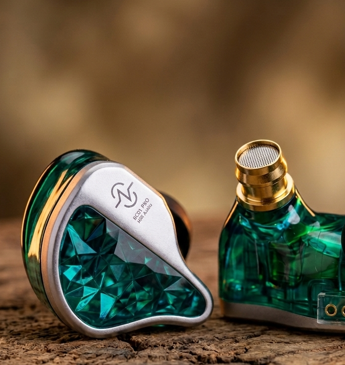 Pair of IEMs sitting on wood surface 