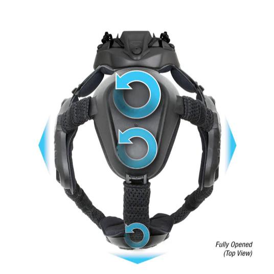 Skull Mounting System