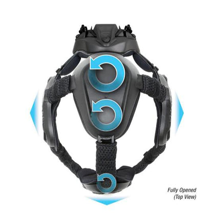 Skull Mounting System